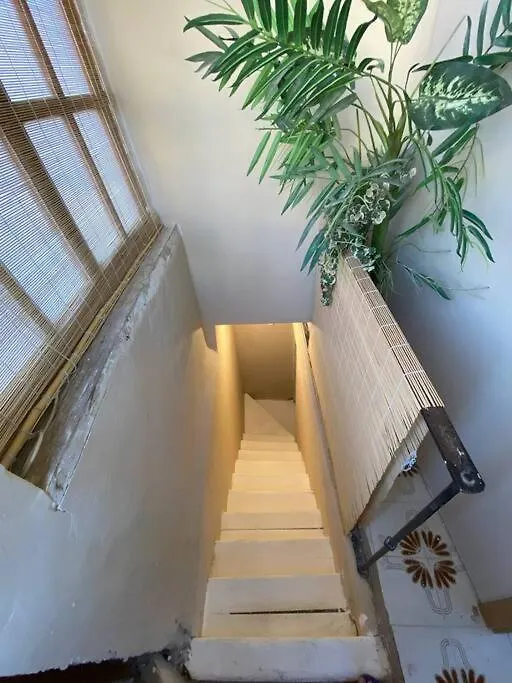 Azotea Elvira Apartamento Granada